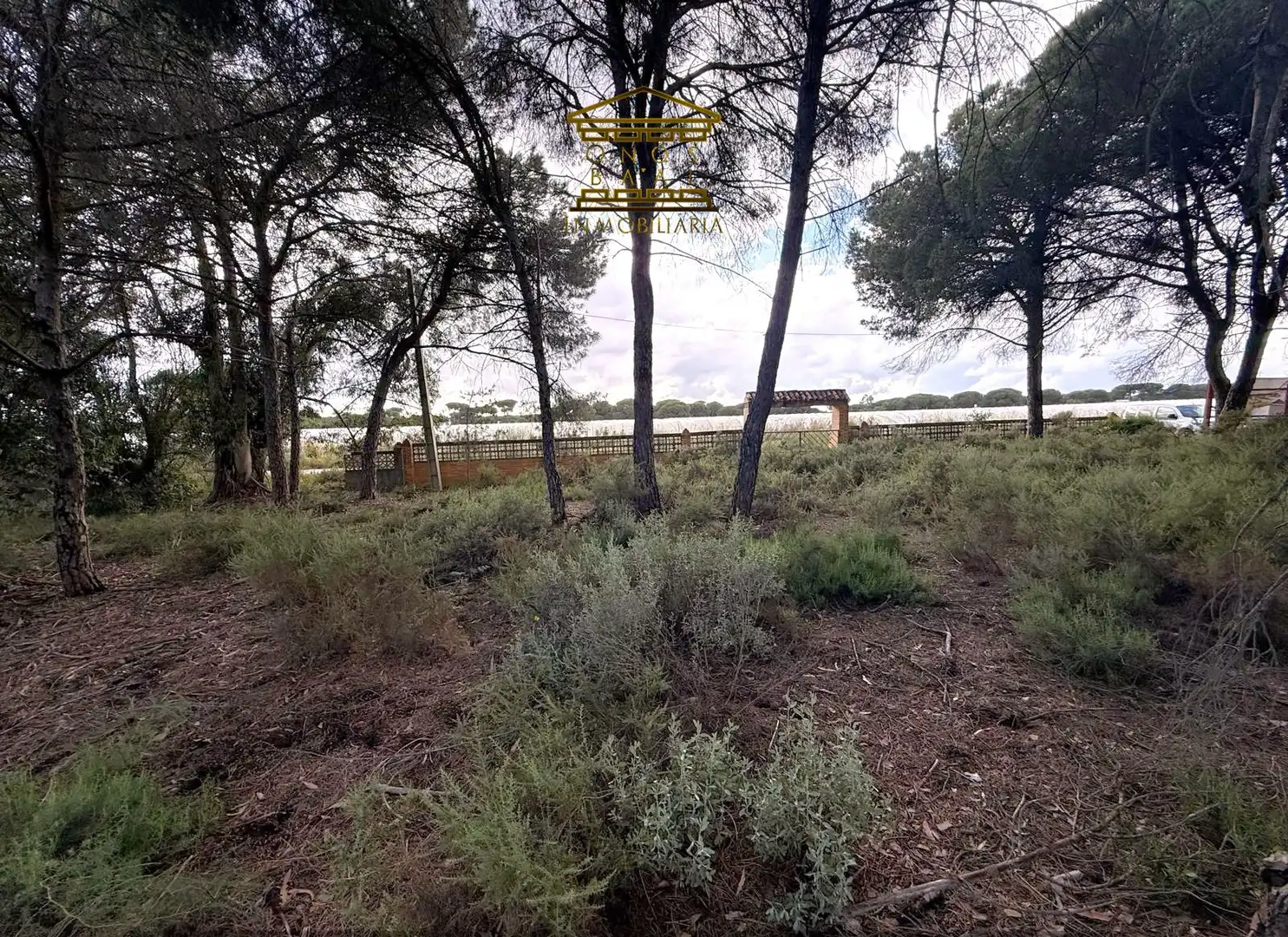 Terreno en venta en Almonte