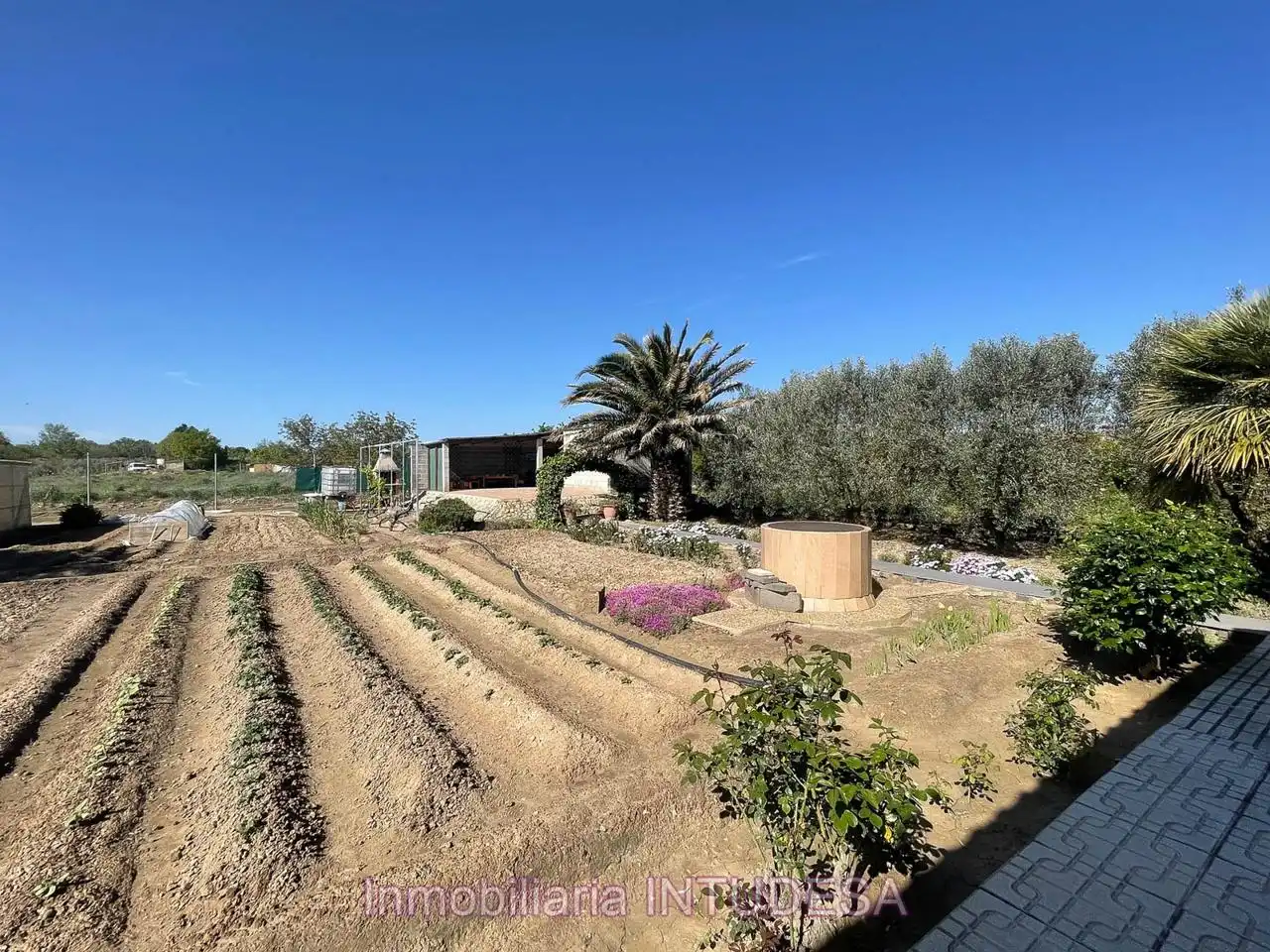 Terreni e lotti in vendita a Paraje La Recueja, imagen 14