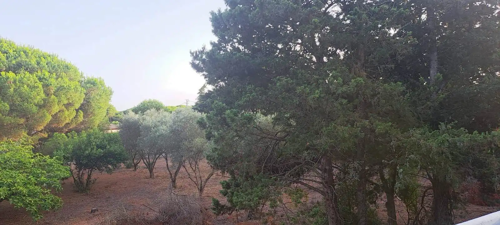 Houses for sale in Chiclana de la Frontera  with Private garden, Terrace and Furnished