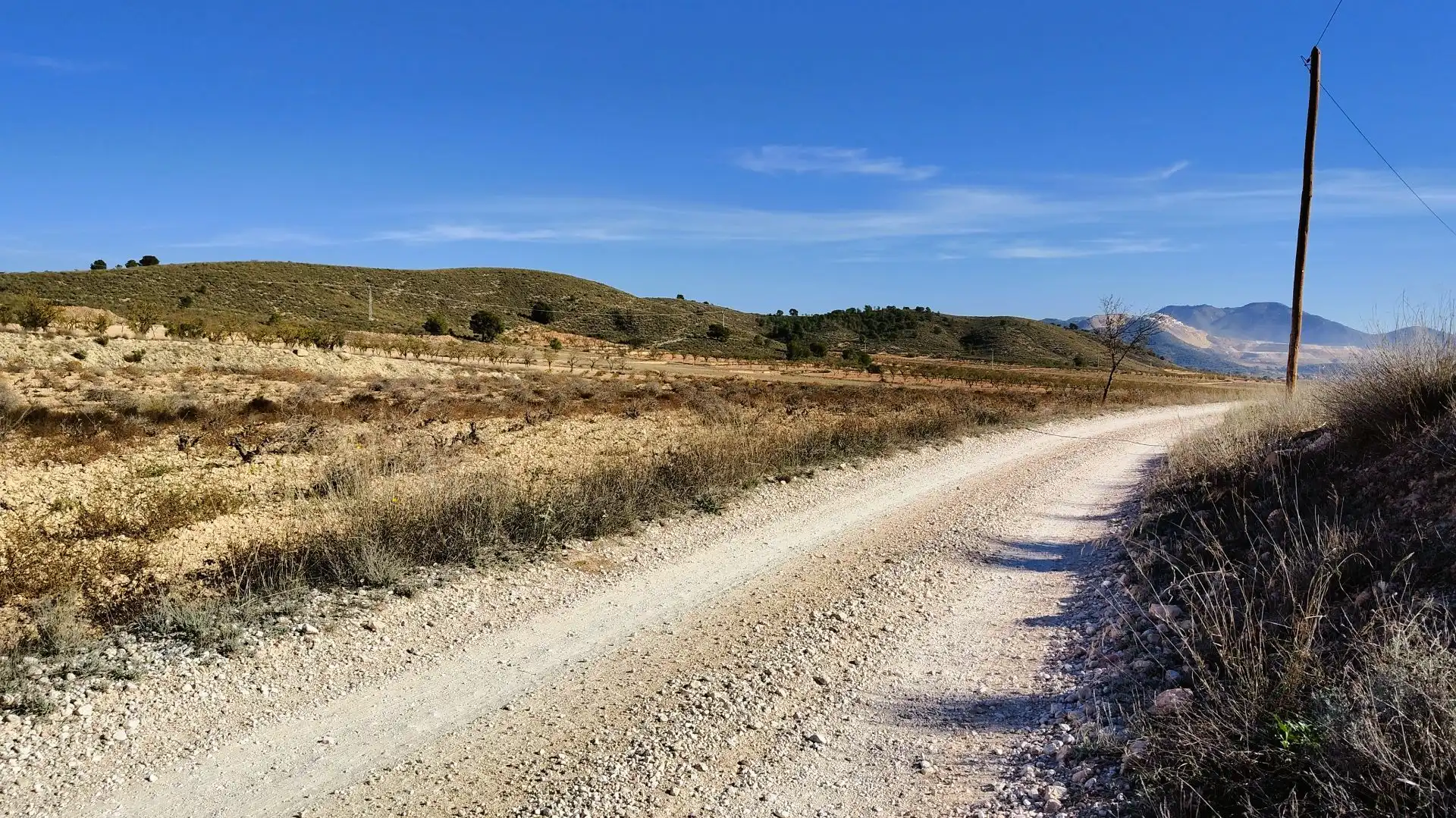 Lands and plots for sale in Abanilla, imagen 25