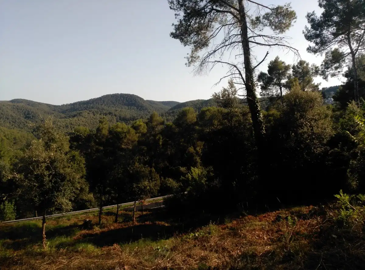 Terreni e lotti in vendita a Corbera de Llobregat, imagen 26