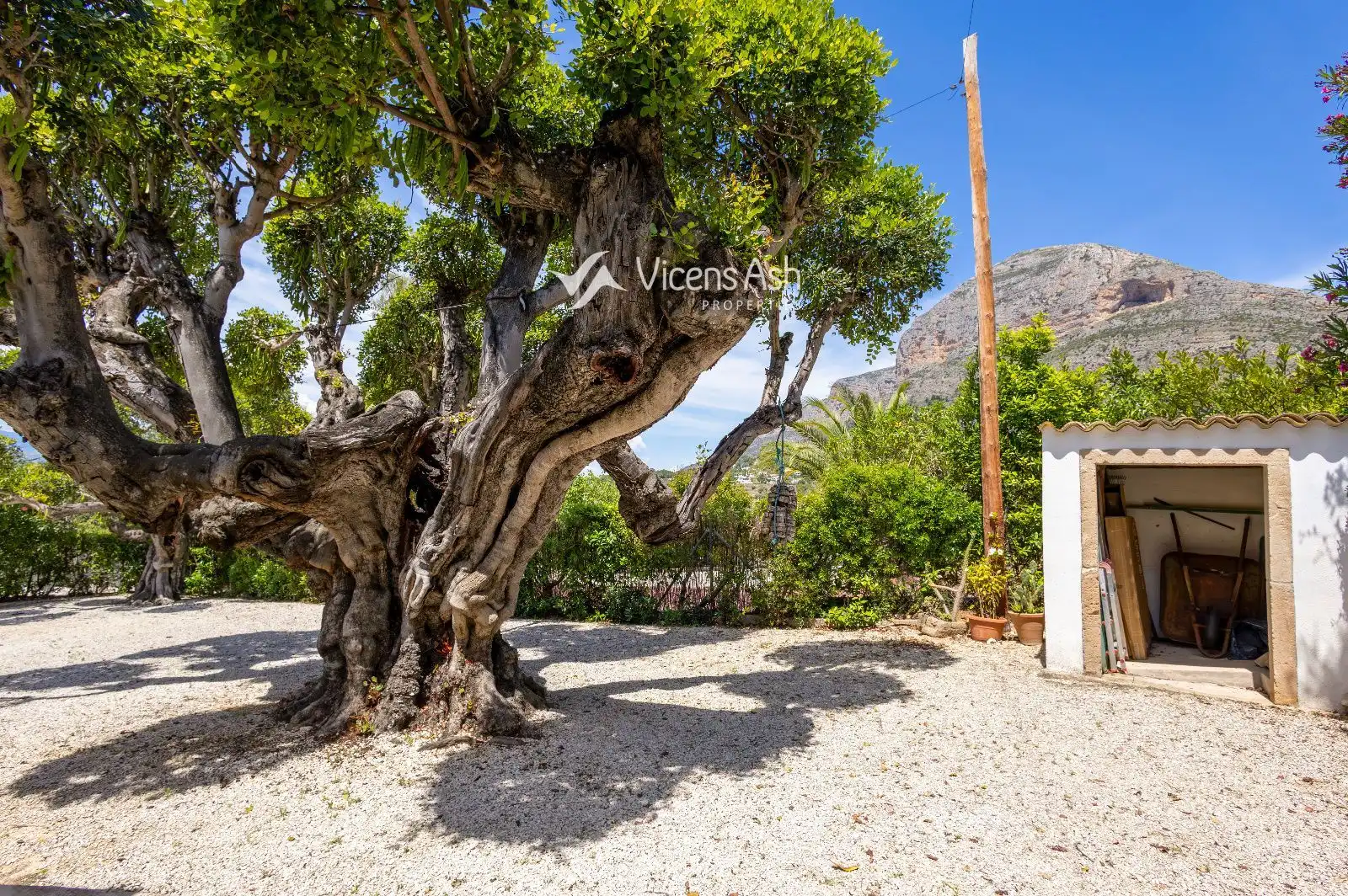 Exterior view of Houses for sale in Jávea / Xàbia  with Storage room, Swimming Pool and Furnished