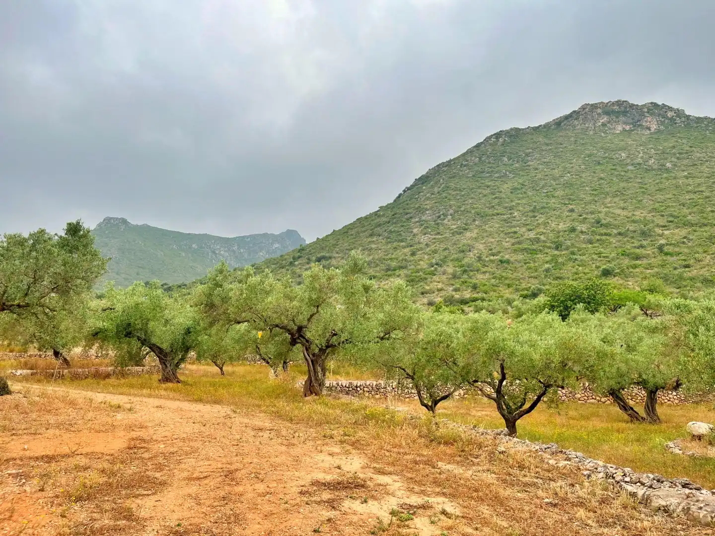 Villa avec jardin à vendre à Roquetes, imagen 17