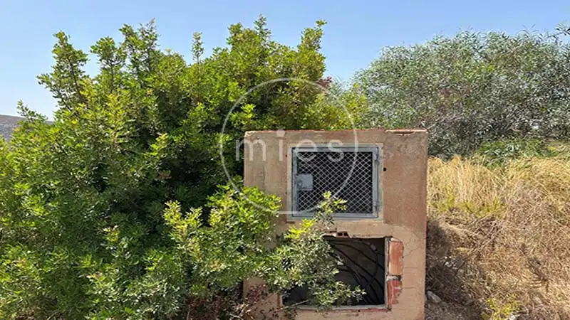 Rural land for sale in Urbanización Altury 0, imagen 3