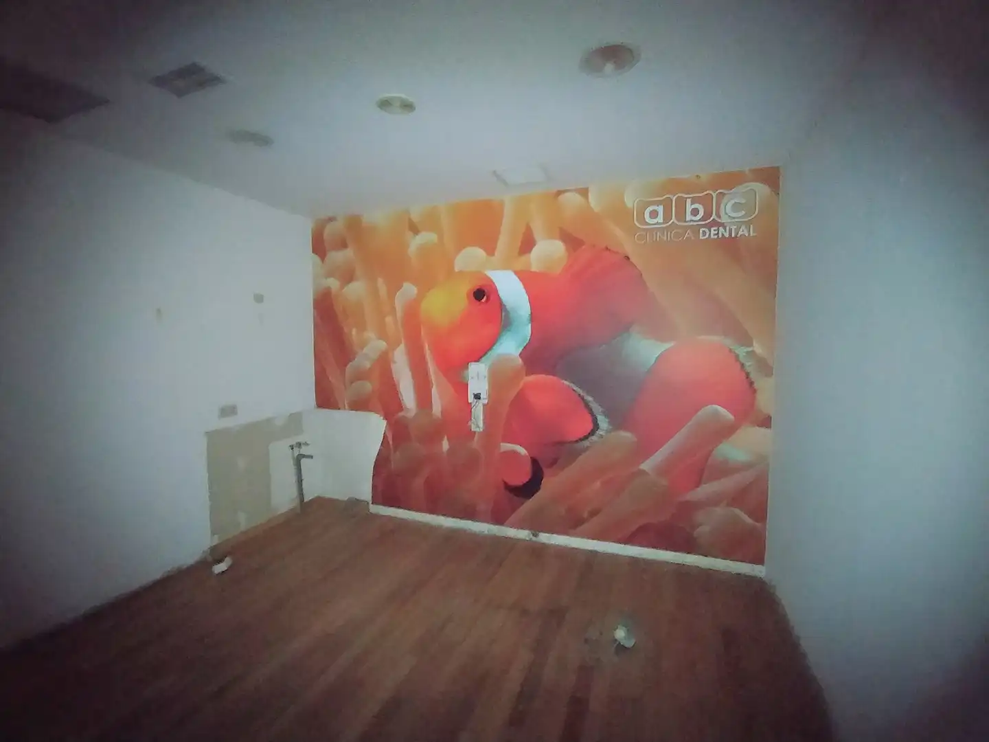Local comercial de lloguer a Rúa de Pizarro 93, imagen 4