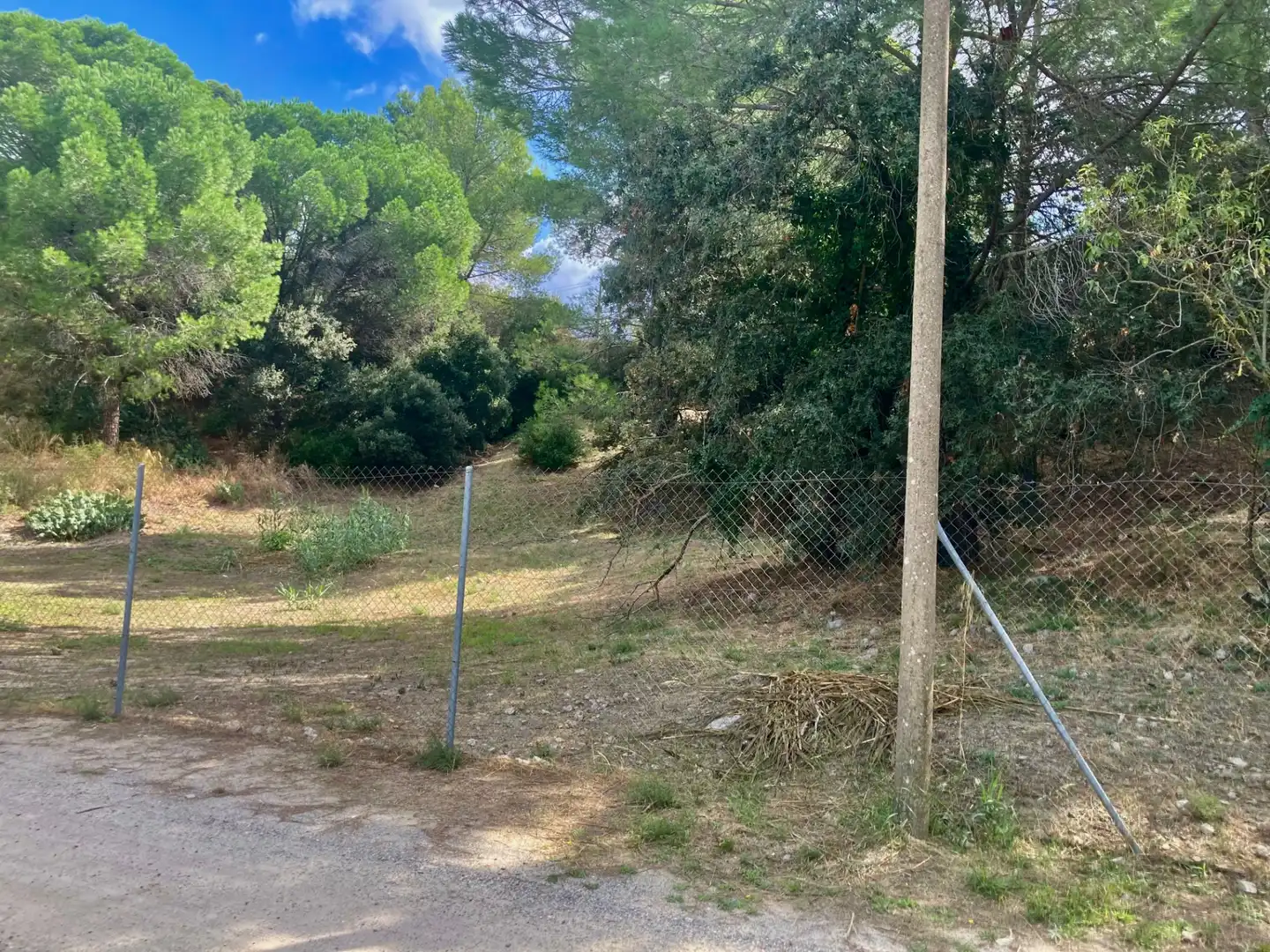 Terreny residencial en venda a Avinguda del Roser