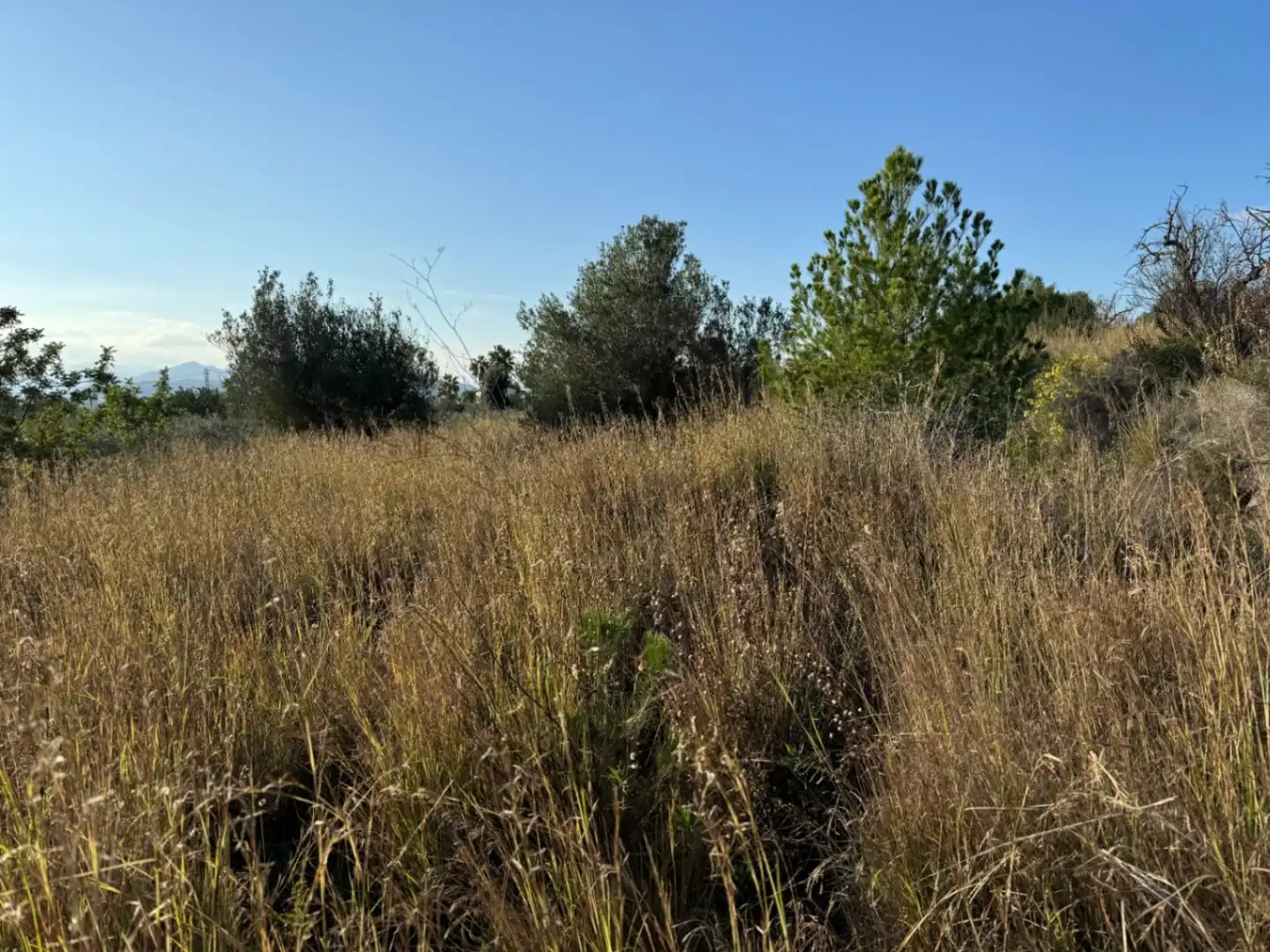 Casa rústica con jardín en venta en Partida Tosal - Zona dels Castellans, imagen 27