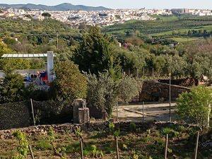 Foto 2 de Casa o xalet de lloguer a Barrio Sur, San Francisco, Ronda