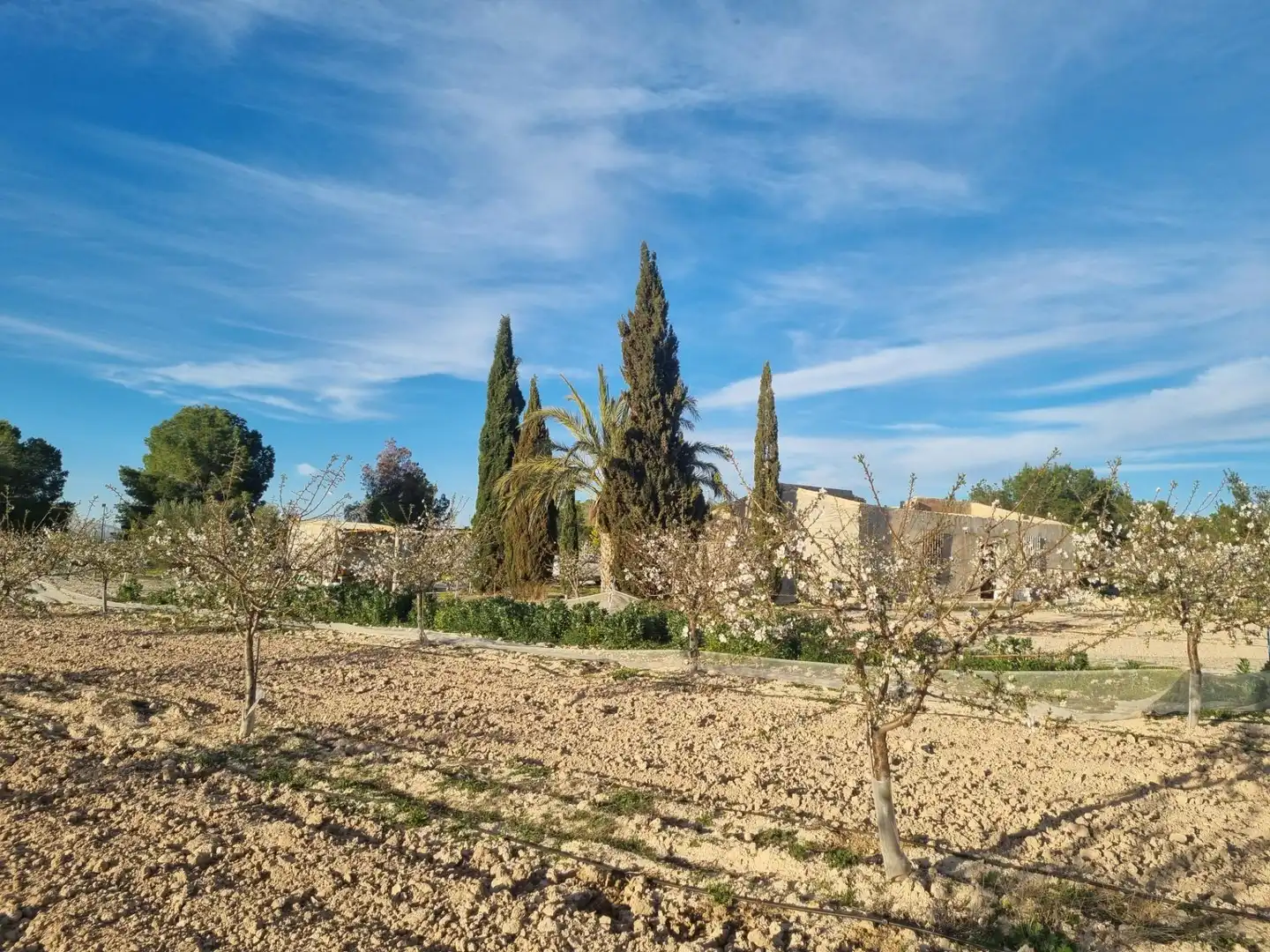 Casa o xalet en venda en Cieza
