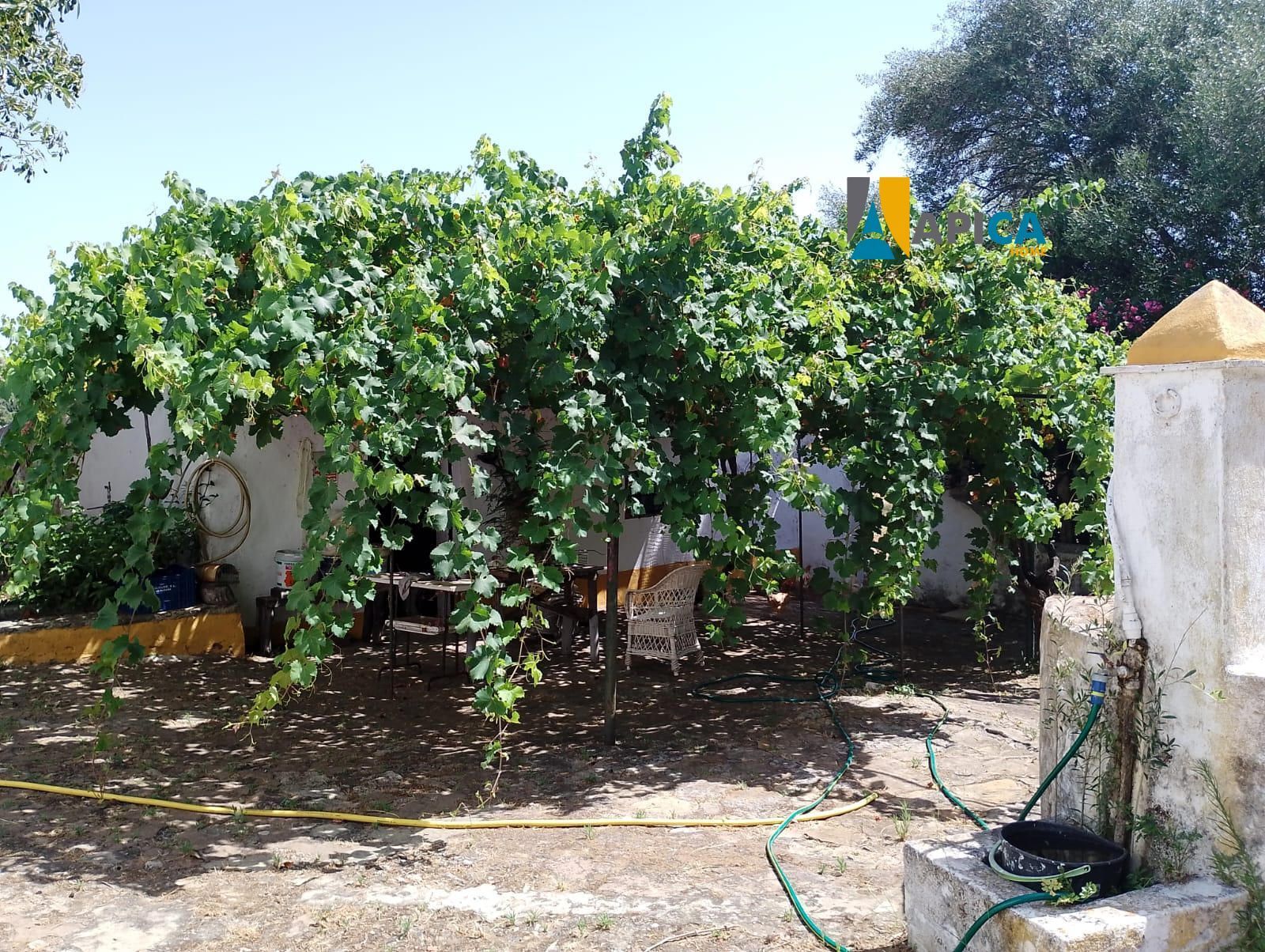 Jardín de Casa o chalet en venta en Vejer de la Frontera con Amueblado