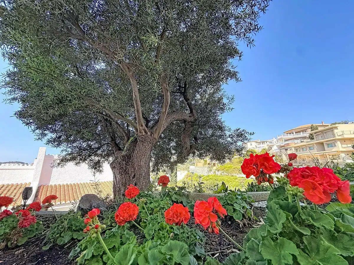 Villa con piscina in vendita a COTOBRO, imagen 46