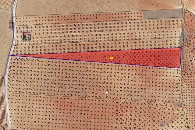 Terreno en Venta en La Encomienda, Polígono 53 en Valdepeñas