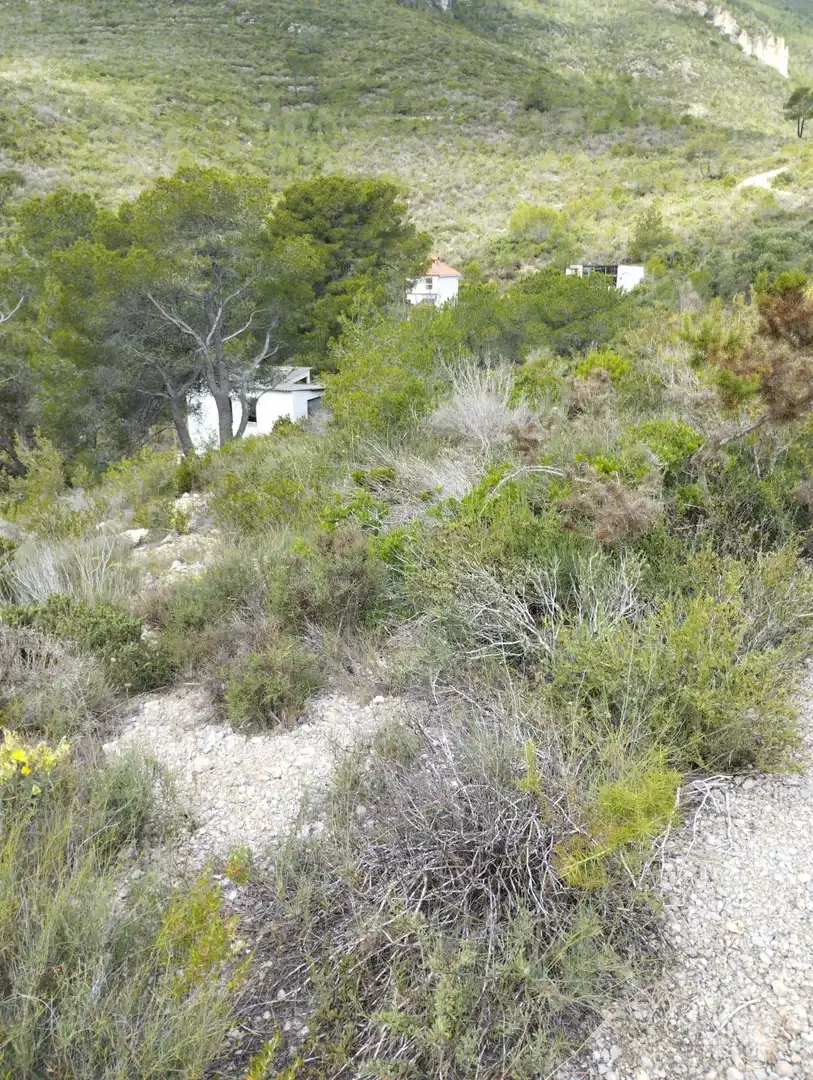 Casa o xalet en venda en El Montmell
