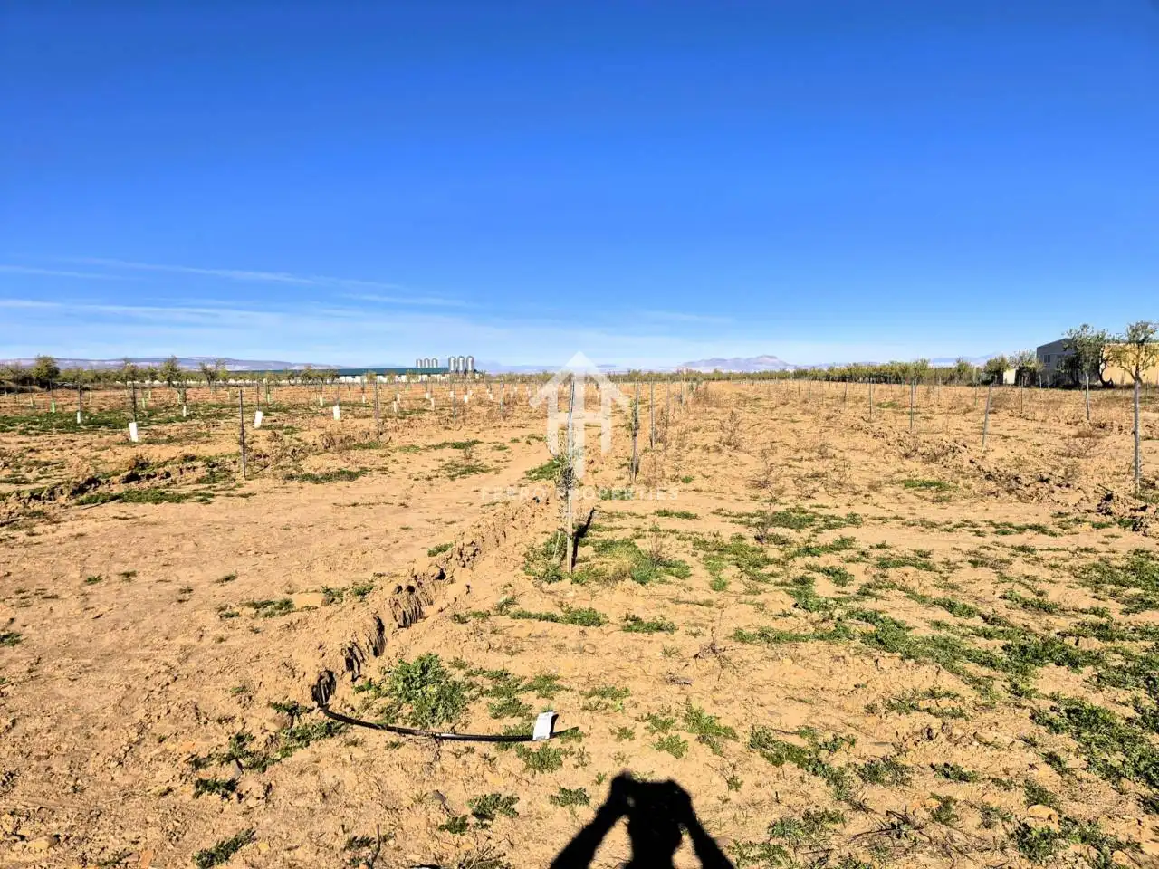 Lands and plots for sale in Lanteira, imagen 72