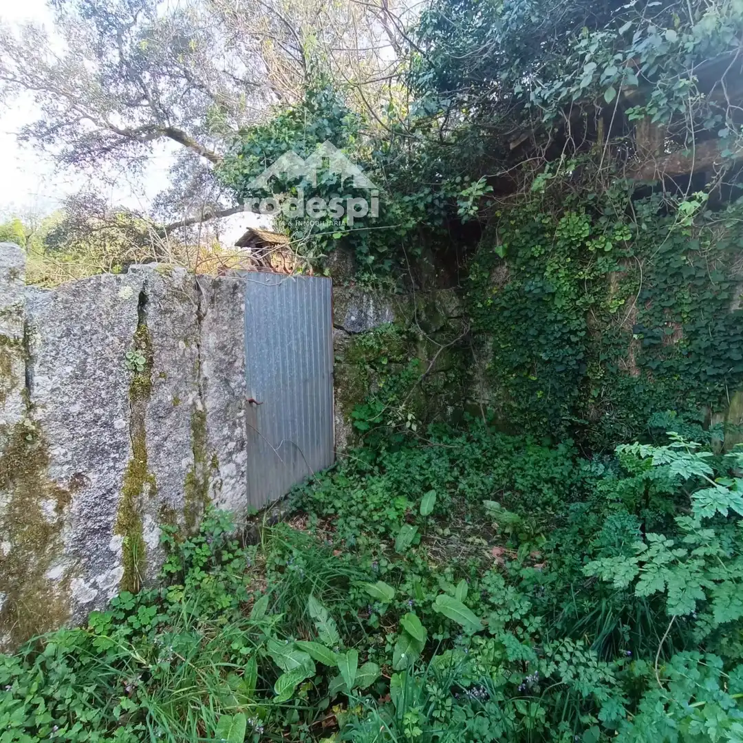 Detached homes for sale in Salvaterra de Miño