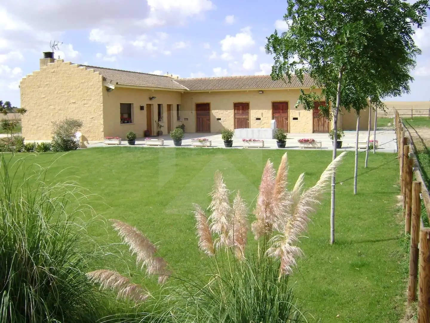 Finca rústica en venta en EXTRARRADIO, Palacios de Goda
