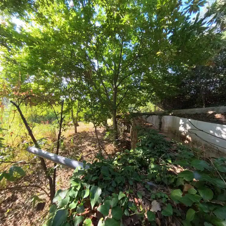 Finca rústica en venta en Castaño del Robledo