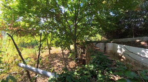 Foto 3 de Finca rústica en venda a Castaño del Robledo, Huelva