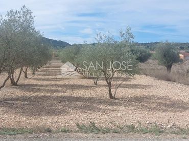 Terreno rustico in vendita a Hondón de los Frailes