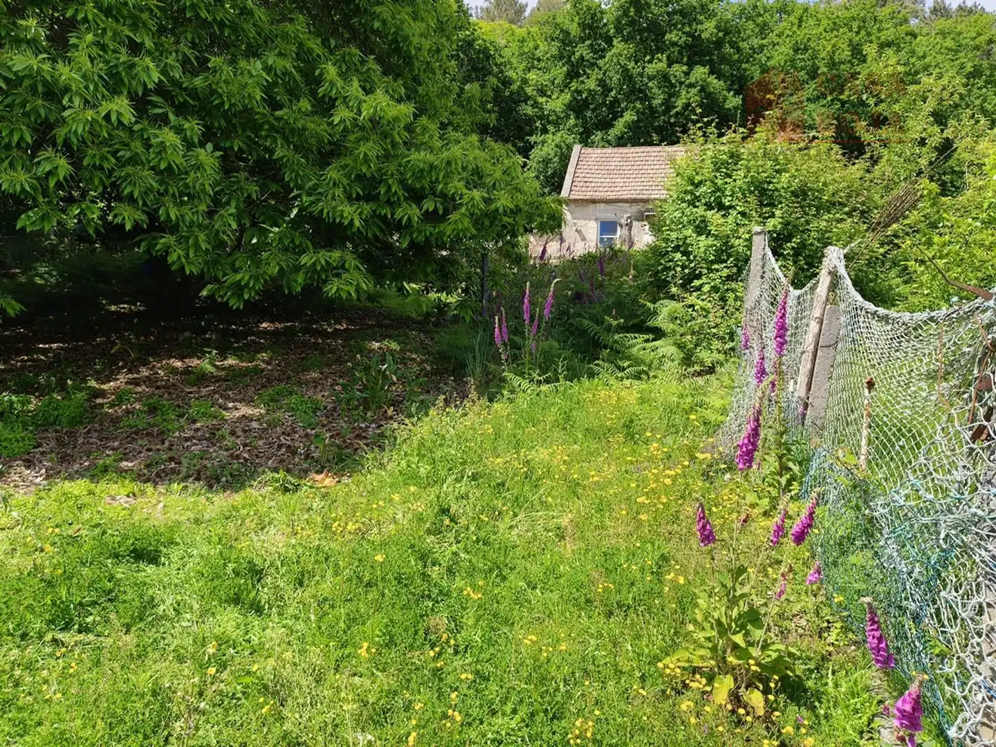 Jardí de Casa o xalet en venda en Moaña