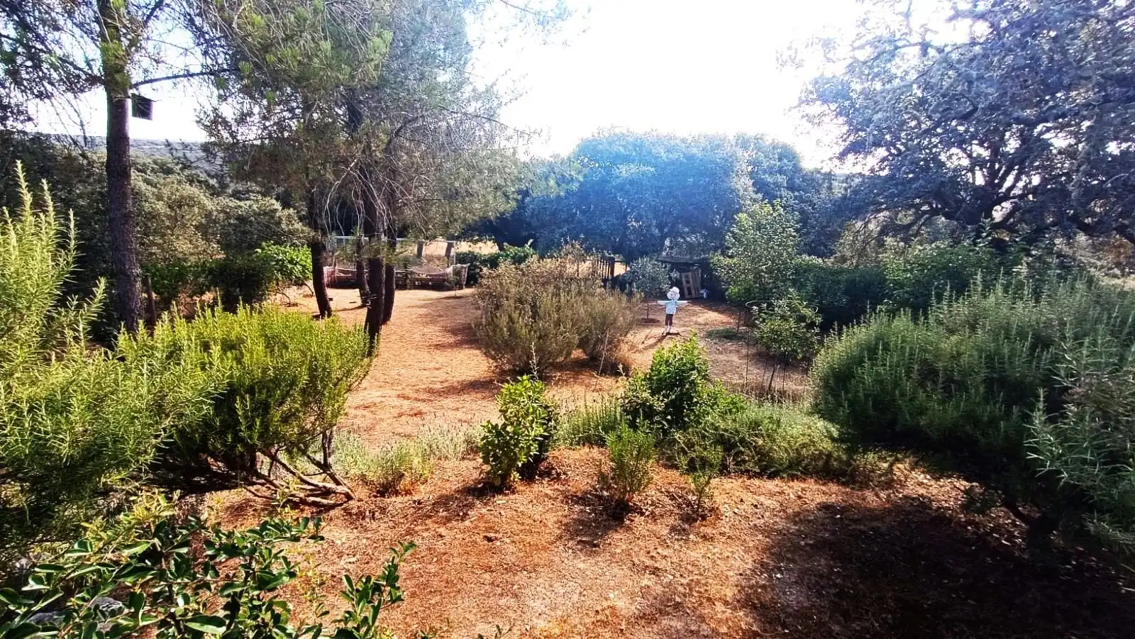 Casa o xalet en venda en Palacios del Pan amb Calefacció, Jardí privat i Terrassa