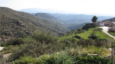 CORTIJO FUENTE DEL ALBARICO