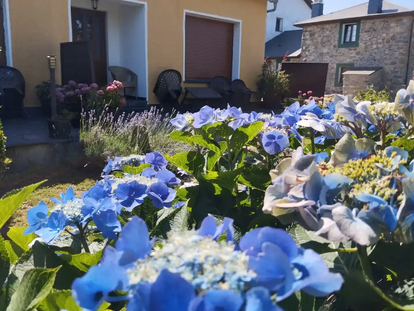 Garten von Wohnungen zur Miete in Riós mit Parkett, Möbliert und Ofen