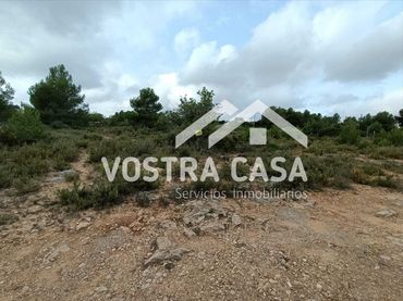 Terreno rustico in vendita a LOMA CABALLEROS