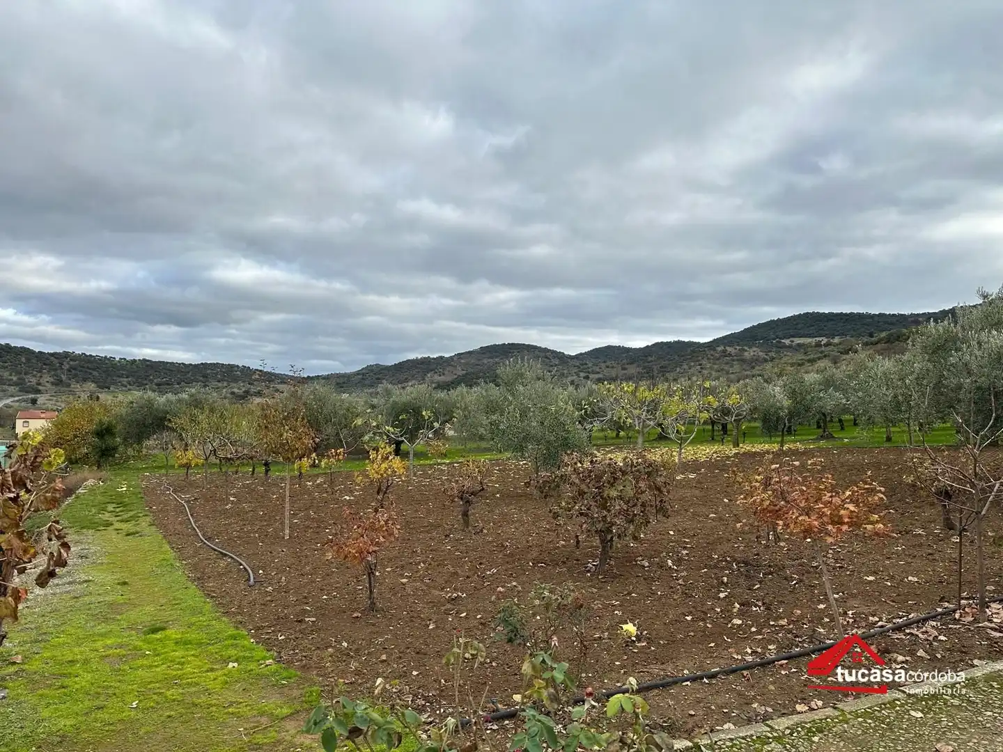 Terreno rustico in vendita a Villanueva del Rey, imagen 21