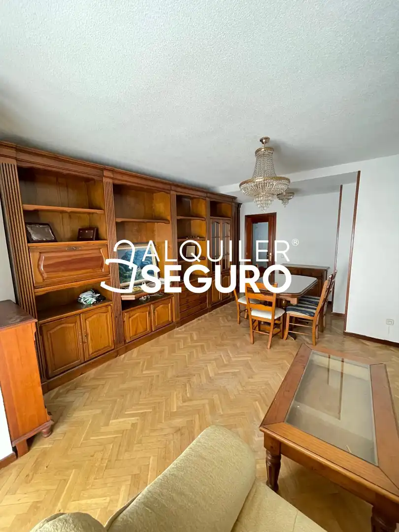 Living room of Flat for rent in Madrid  with Air Conditioner, Heating and Swimming Pool