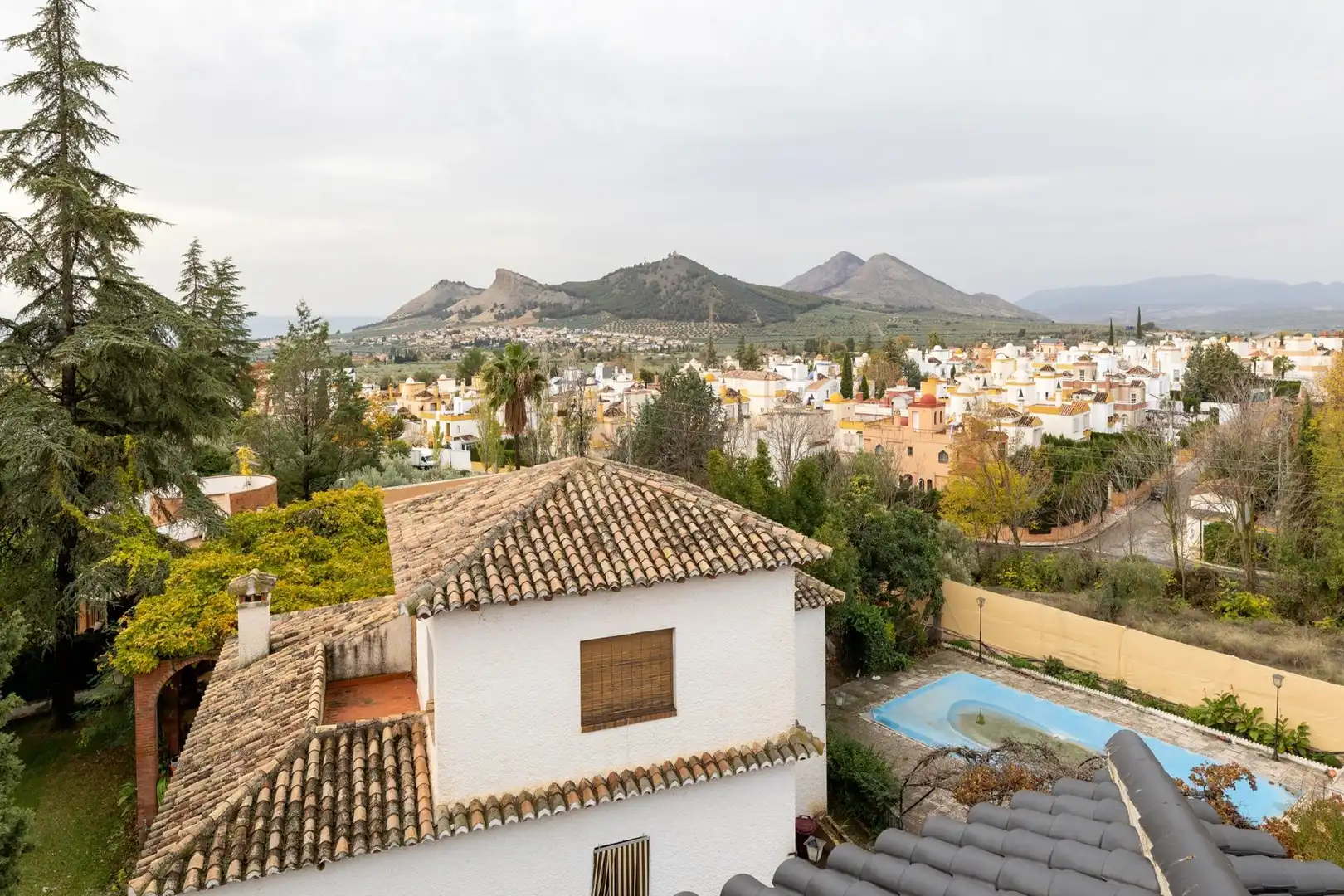 Vista exterior de Casa o chalet en venta en Albolote con Terraza, Trastero y Piscina