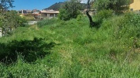 TERRENO PARA 2 CASAS PAREADAS, immagine 5