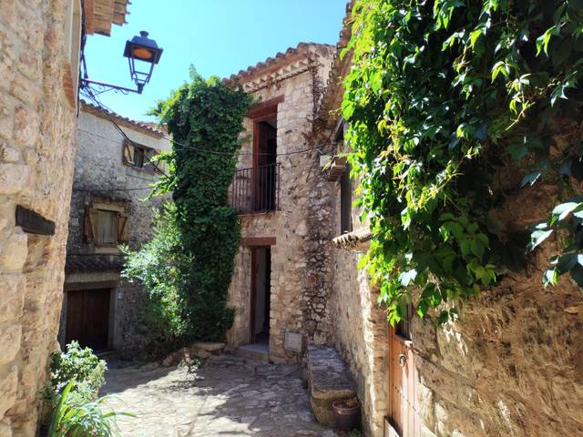 Casa-chalet en Alquiler en Mont-ral