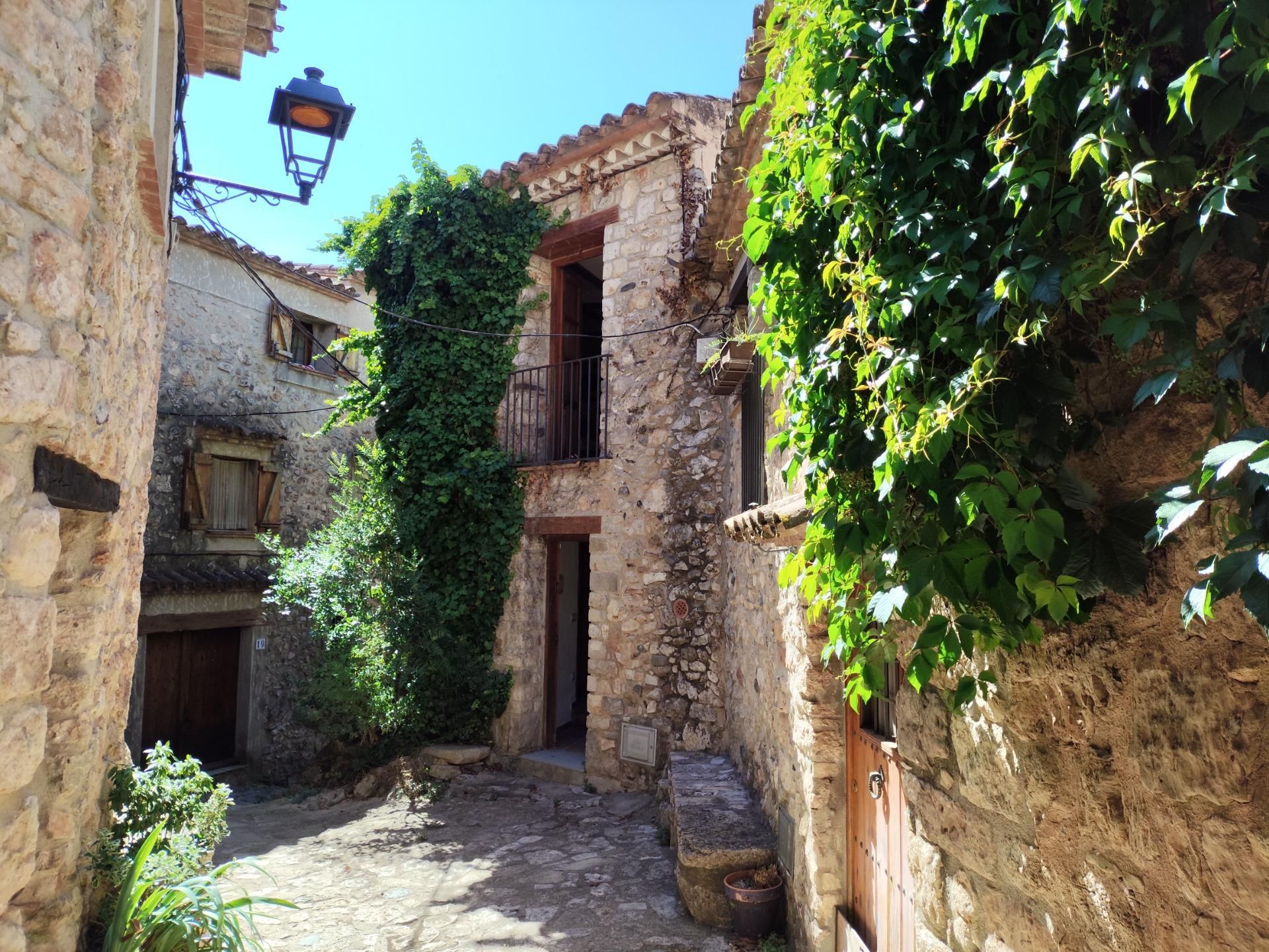 Vista exterior de Casa o chalet de alquiler en Mont-ral con Terraza y Balcón