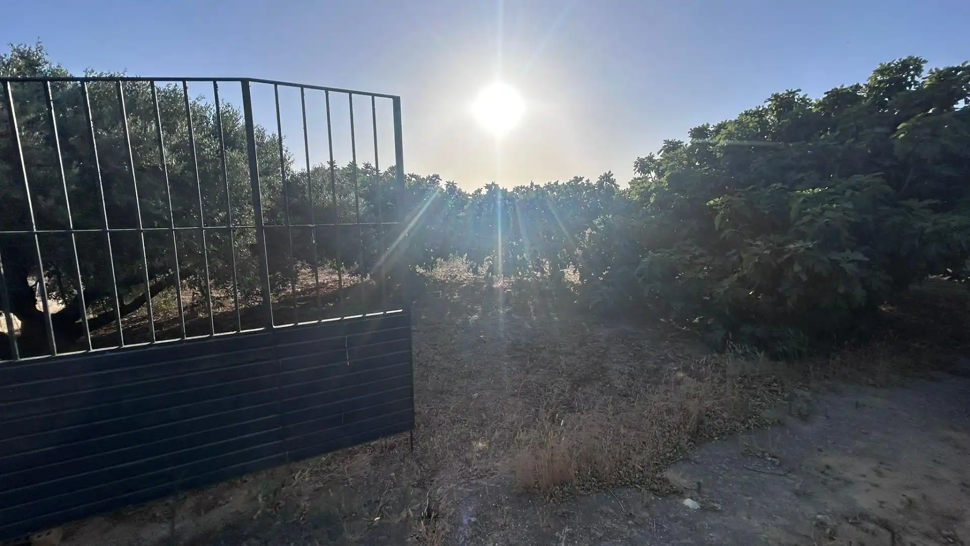 Terreni e lotti in vendita a Los Franceses – La Vega, imagen 4
