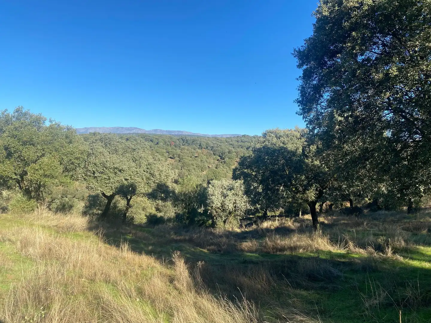 Country house zum Verkauf in El Real de San Vicente mit Klimaanlage, Heizung und Privatgarten