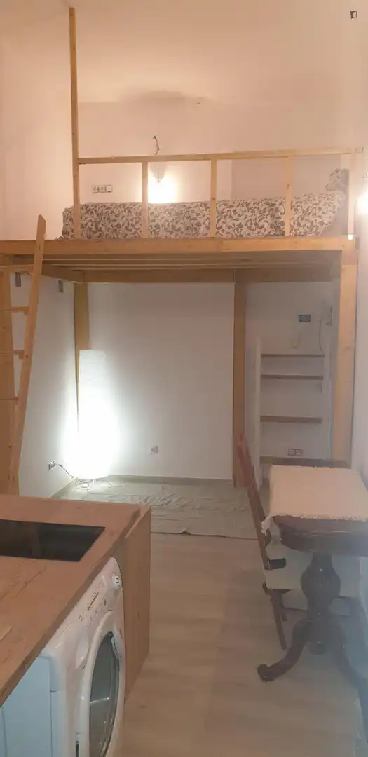 Estudio en alquiler en Centro, imagen 12