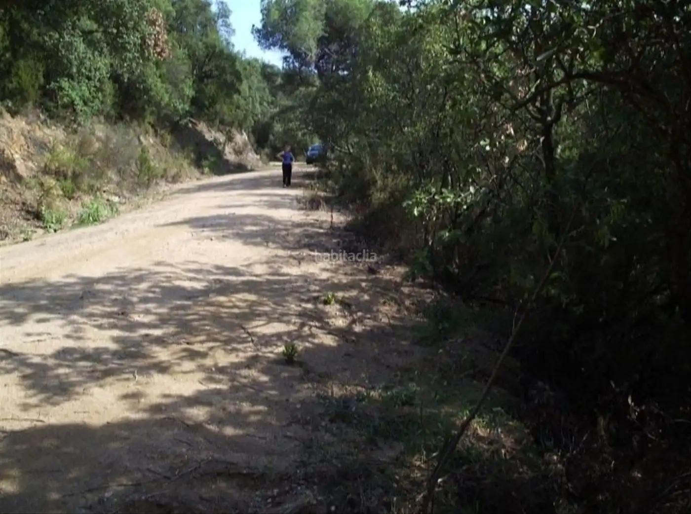 Terreny rústic en venda a Urbanització Cal Batlle 65, imagen 2