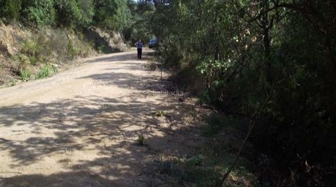 Terrenos rústicos, imagen 2