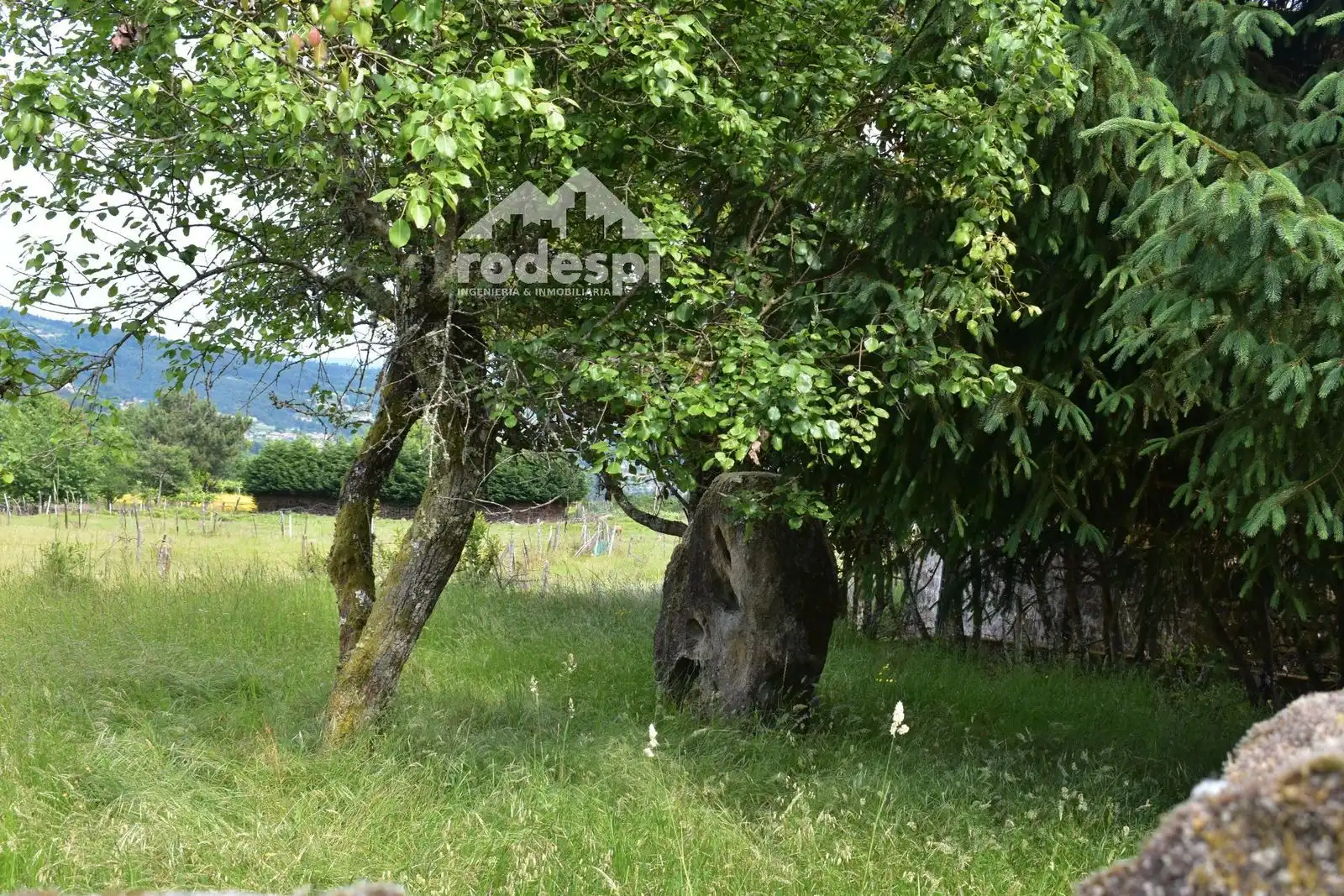 Xalet en venda a A Cañiza, imagen 43