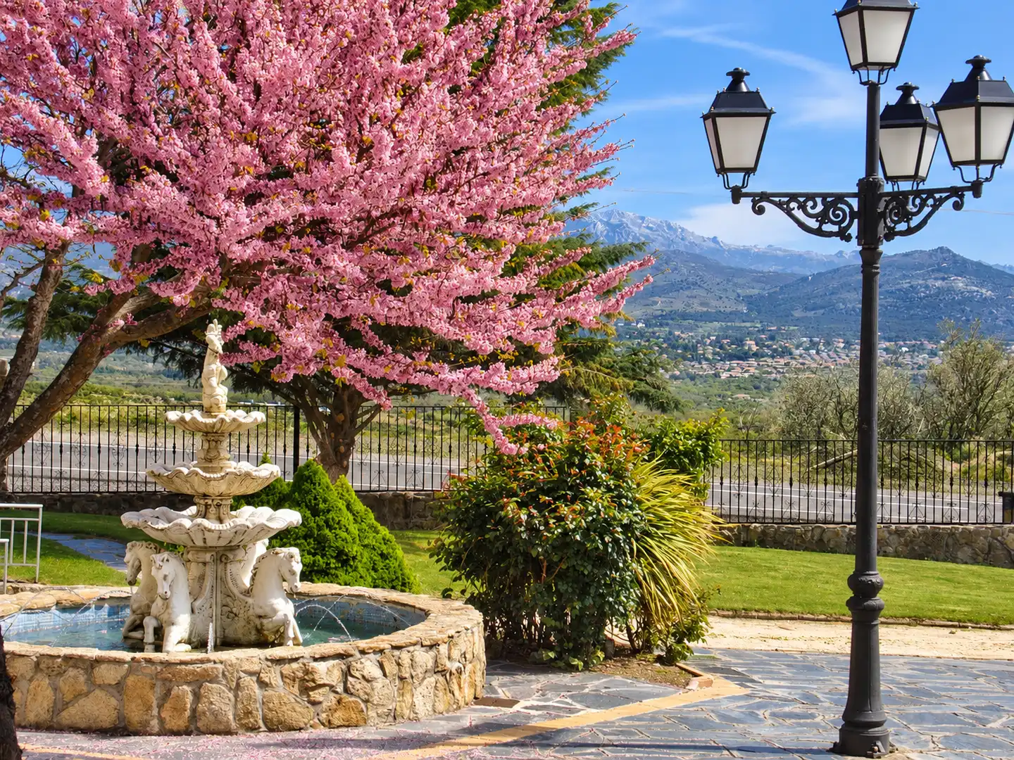 Garden of Buildings for sale in Guadarrama, Madrid