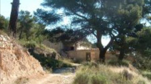 Alicante. A 35 Km de la ciudad. Finca rustica  en monte con coto de Caza, con casa solariega., immagine 3