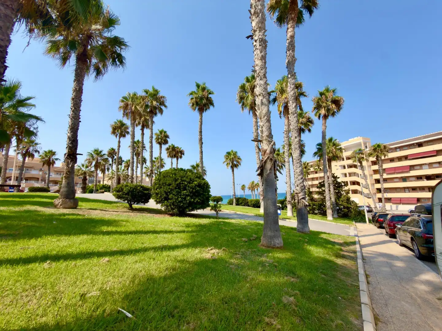 Vista exterior de Casa o chalet en venta en Torrevieja con Jardín privado, Amueblado y Piscina comunitaria