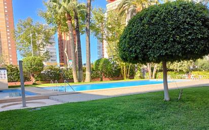 Swimming pool of Apartment for sale in Benidorm  with Air Conditioner