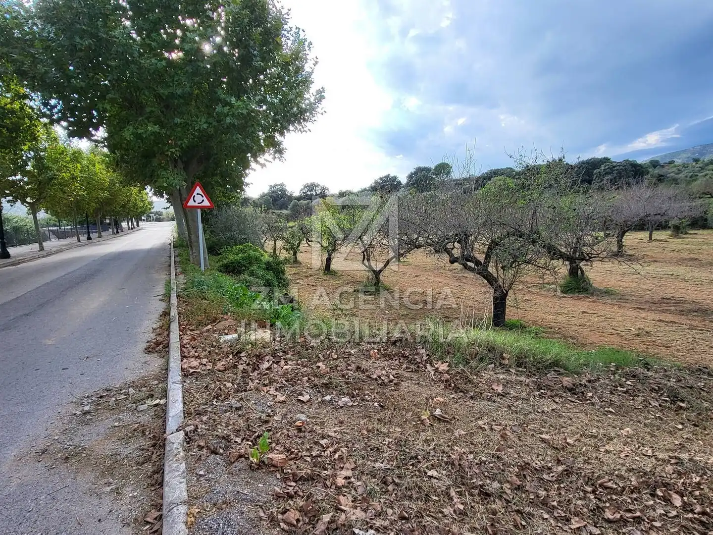 Terreno rustico in vendita a Traiguera, imagen 20