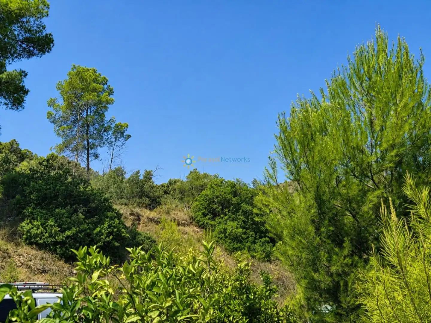 Finca rústica en venda en Sellent amb Terrassa, Traster i Piscina