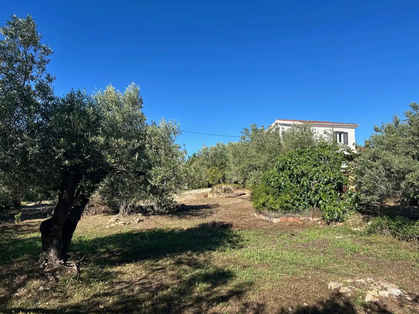 Country house with pool for sale in L'Ampolla, imagen 47