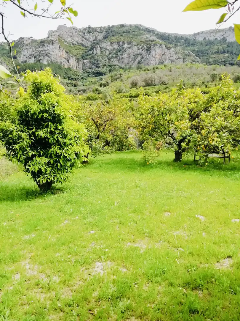 Terreno rústico en venta en Xaló, imagen 11