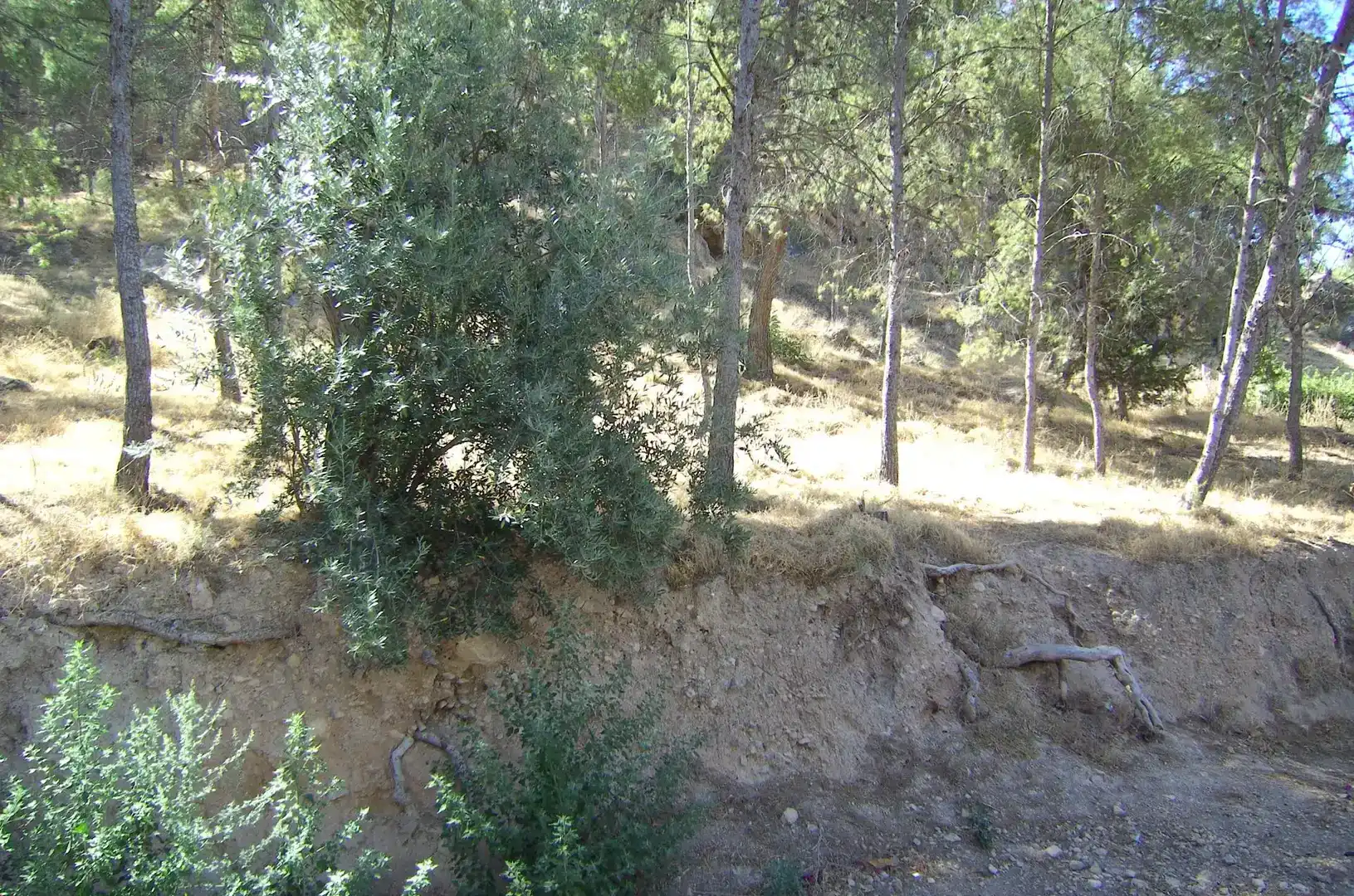 Terreno en venta en Pedanías Este