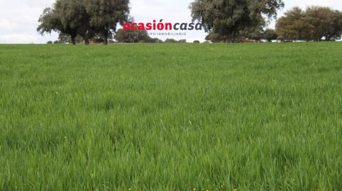 Foto 2 de Finca rústica en venda a Peñarroya-Pueblonuevo, Córdoba